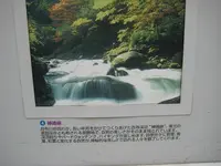 上杉神社の写真・動画_image_135687