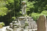 仙遊寺の写真・動画_image_135819