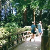 Portland Japanese Gardenの写真・動画_image_138523