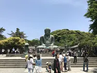 鎌倉大仏（高徳院）の写真・動画_image_139474