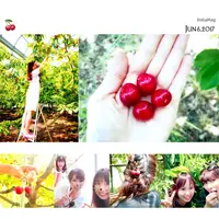 原田農園の写真・動画_image_141207