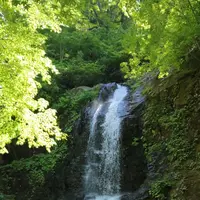 県立自然公園宇津江四十八滝の写真・動画_image_141623