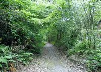 中山神社の写真・動画_image_142036