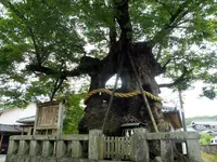 中山神社の写真・動画_image_142138