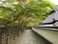 神峯山寺の写真・動画_image_142153