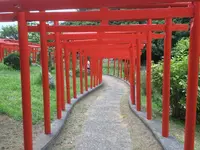 高山稲荷神社の写真・動画_image_145004