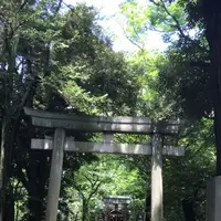 赤坂氷川神社の写真・動画_image_145115