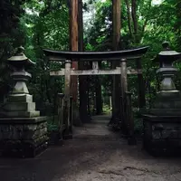 十和田神社の写真・動画_image_146620