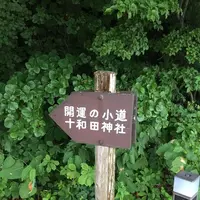 十和田神社の写真・動画_image_146621