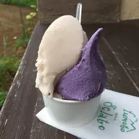 麓ジェラート fumoto gelatoの写真・動画_image_147842