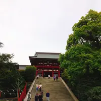 鶴岡八幡宮の写真・動画_image_148347