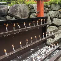 下鴨神社（賀茂御祖神社）の写真・動画_image_149350
