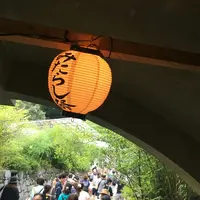 下鴨神社（賀茂御祖神社）の写真・動画_image_149357