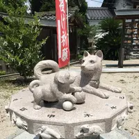 売豆紀神社の写真・動画_image_149445