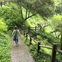 龍門の滝の写真・動画_image_149843