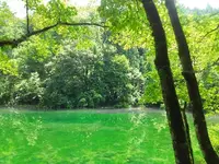 竜ヶ窪の池の写真・動画_image_152949