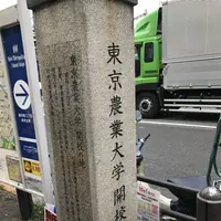 東京大神宮の写真・動画_image_154585