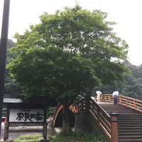 奈良井宿の写真・動画_image_154636