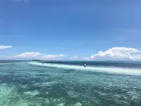 フィリピン ボホール島の写真・動画_image_155170