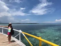 フィリピン ボホール島の写真・動画_image_155171