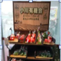 ヤオコー 小川ショッピングセンターの写真・動画_image_155935
