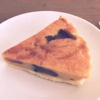 kuutamoの写真・動画_image_157647