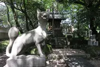深川神社の写真・動画_image_157963