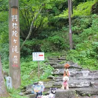 阿弥陀ケ滝の写真・動画_image_158150
