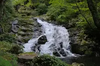 阿弥陀ケ滝の写真・動画_image_158153