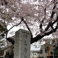 浄真寺の写真・動画_image_158713