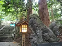 高千穂神社の写真・動画_image_158922