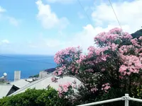 御蔵島の写真・動画_image_159495