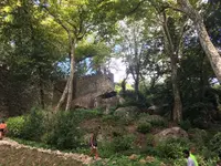 ムーアの城跡（Moore Castle）の写真・動画_image_162143