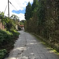 真名井神社の写真・動画_image_162414
