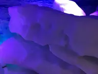 オホーツク流氷館の写真・動画_image_163213