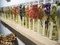LUFF Flower&PlantsWORKSの写真・動画_image_163405