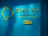 仙台うみの杜水族館の写真・動画_image_163543