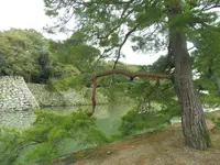 彦根城の写真・動画_image_164787