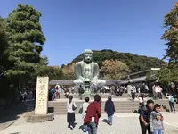 鎌倉大仏（高徳院）の写真・動画_image_165180
