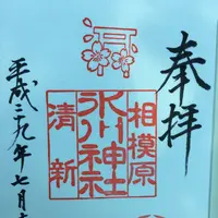 相模原氷川神社の写真・動画_image_165463
