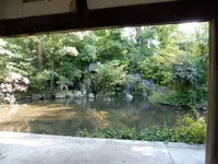 気比神社の写真・動画_image_166725