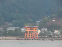 JR西日本宮島フェリーの写真・動画_image_167516