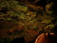 養老の滝の写真・動画_image_167593