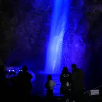 養老の滝の写真・動画_image_167594