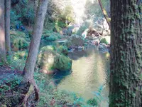 鍋ヶ滝の写真・動画_image_167985