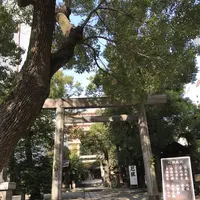 洲崎神社の写真・動画_image_168245