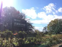 武蔵国分寺跡の写真・動画_image_168510