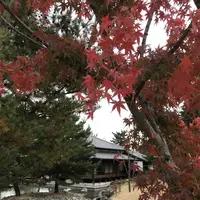 日本庭園「帰真園」の写真・動画_image_168812