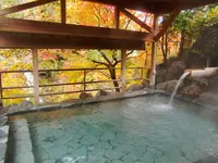 秩父温泉・満願の湯の写真・動画_image_168991
