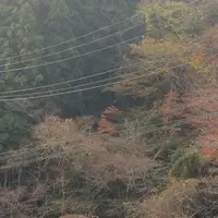 室生寺の写真・動画_image_170189